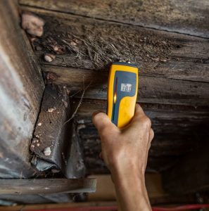 Mold Removal - Full Service Property Restoration