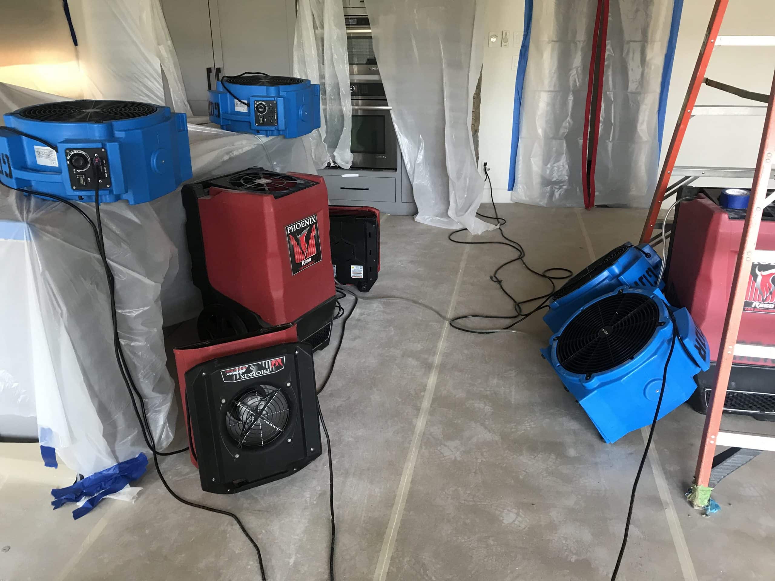 How Fast Does Mold Grow After Water Damage? Risks & Timeline Every Homeowner Should Know - Full Service Property Restoration