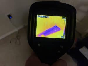 Mold Removal Experts - Full Service Property Restoration