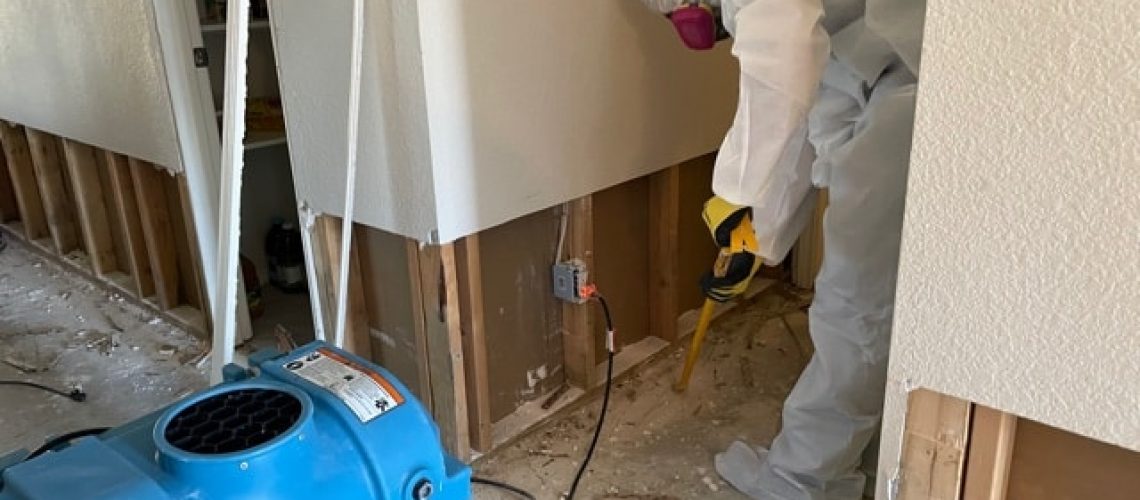 Mold Remediation in North Richland Hills, TX Mold Remediation in North Richland Hills, TX